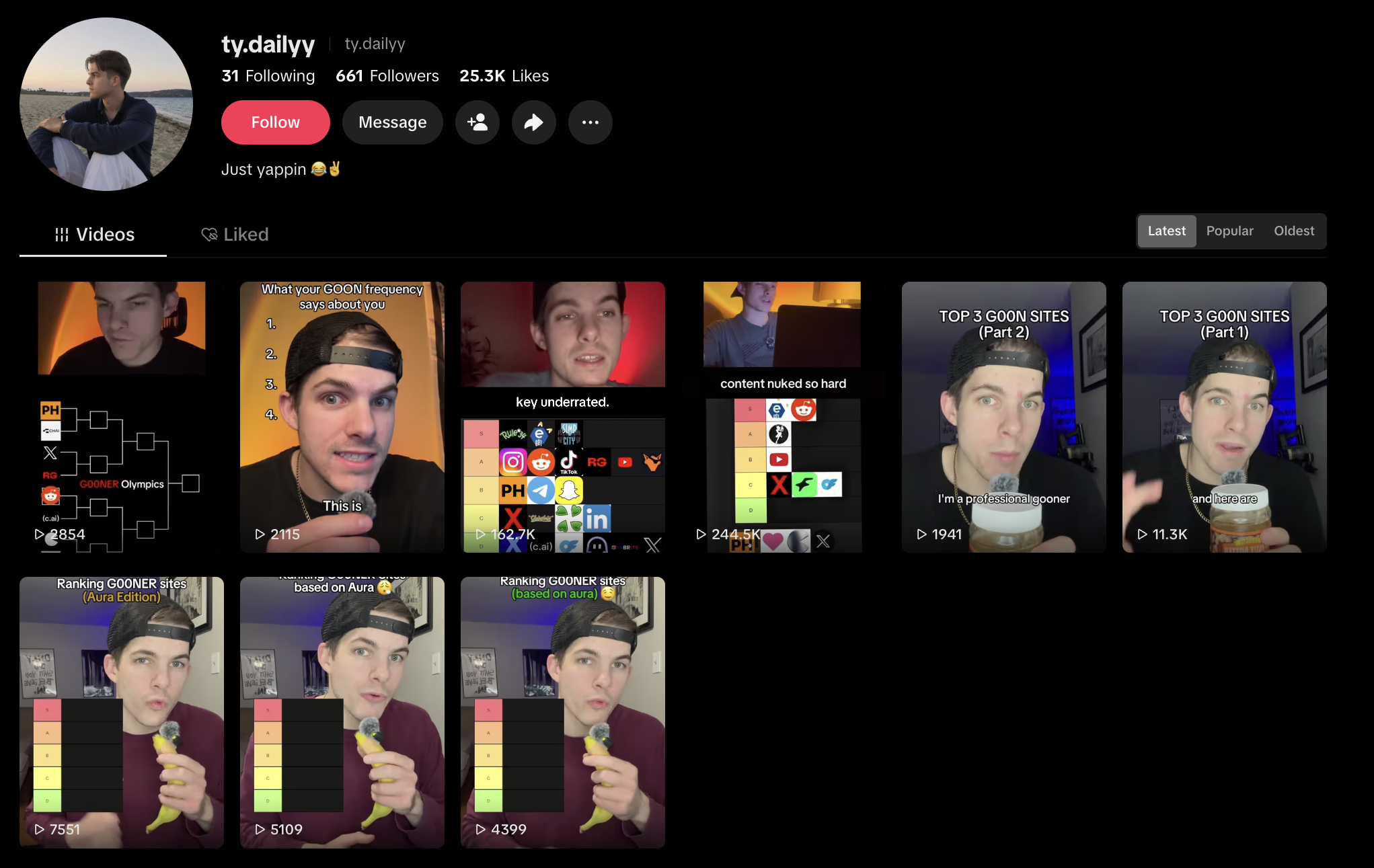 TikTok Campaign Grid @ty.dailyy